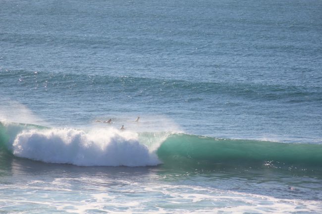 Surfschool Peniche - Portugal Tribo do Mar, Consolação